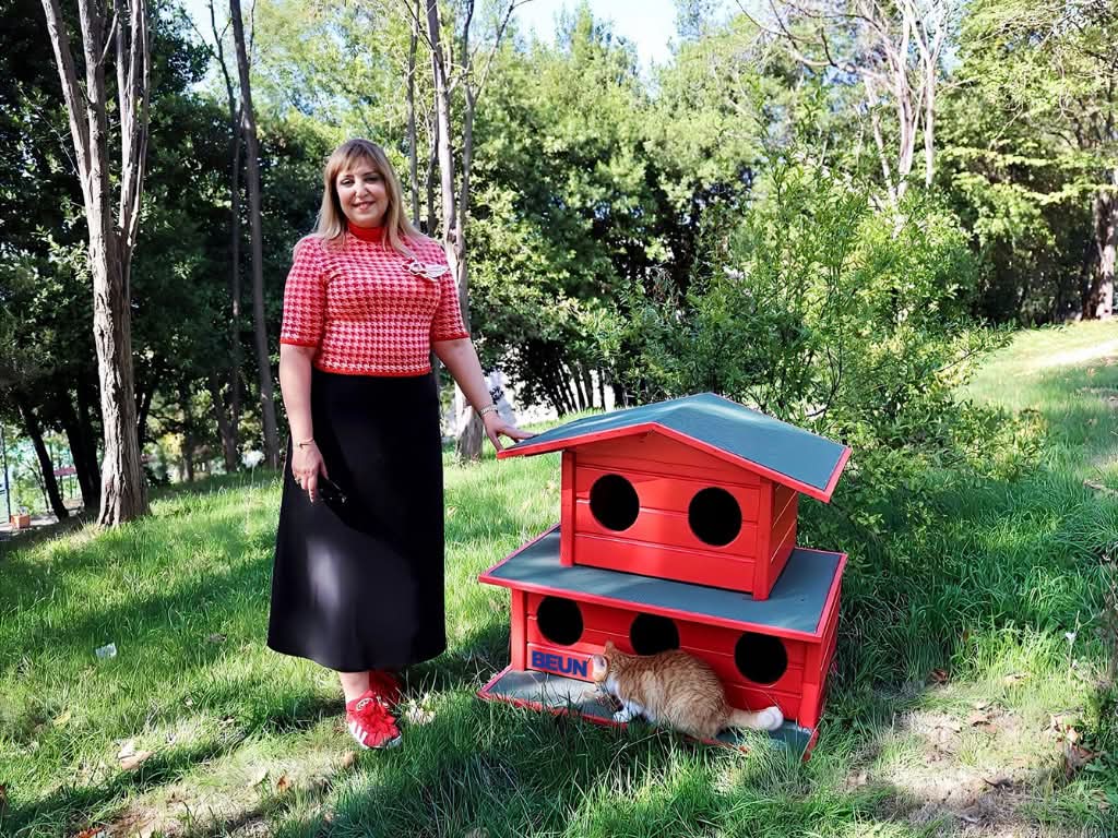 DEVREK MYO’DA SOKAK HAYVANLARINA SICAK YUVA: DOST PATİLER KAMPÜS EVLERİ YERLEŞTİRİLDİ