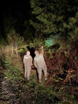 DEVREK ORMANLARI GECE DE EMANETTE: DENETİMLER SÜRÜYOR