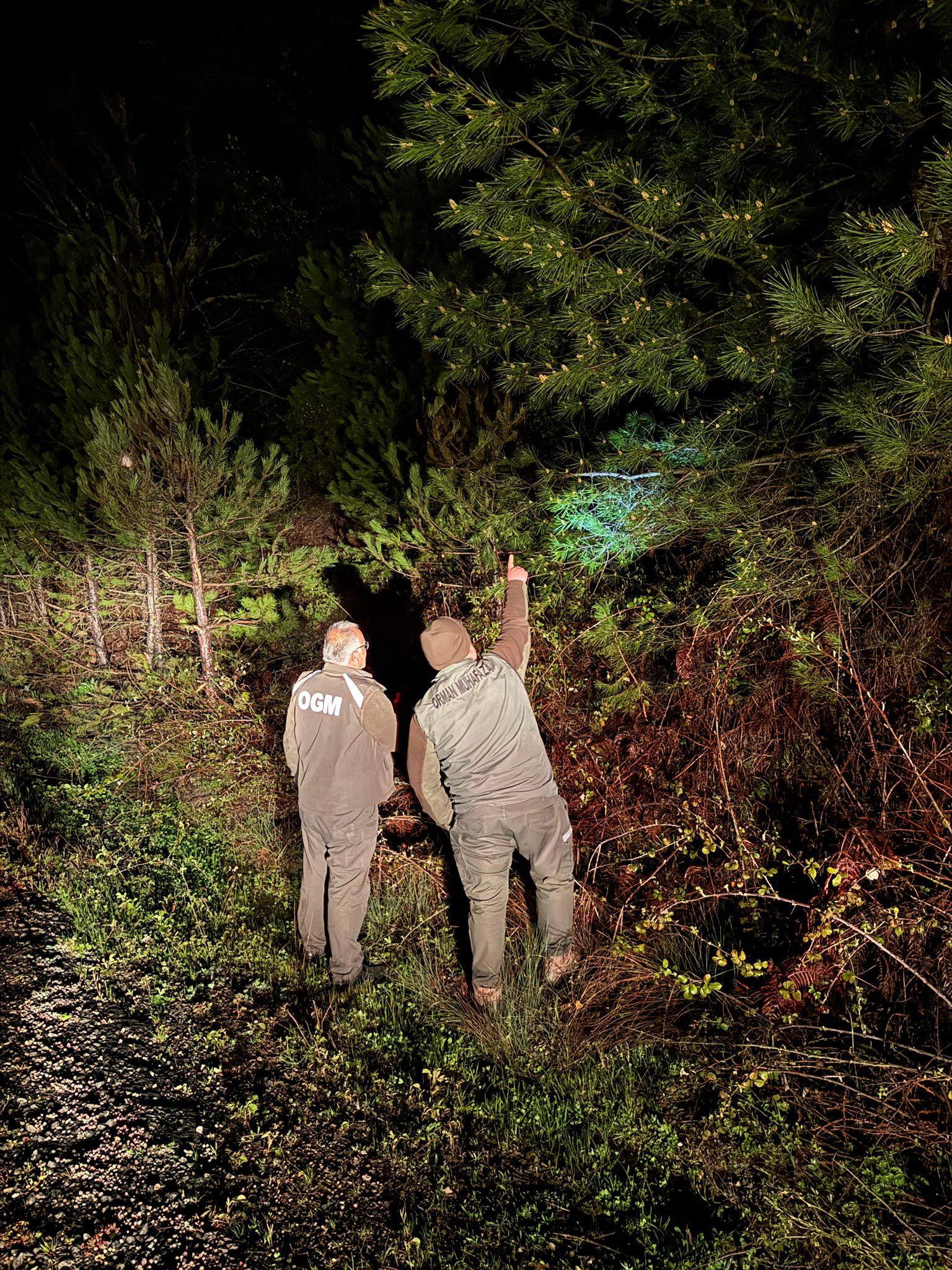 DEVREK ORMANLARI GECE DE EMANETTE: DENETİMLER SÜRÜYOR