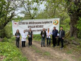 DEVREK’TE KESTANE ORMANLARINDA BİYOLOJİK MÜCADELE ÇALIŞMASI
