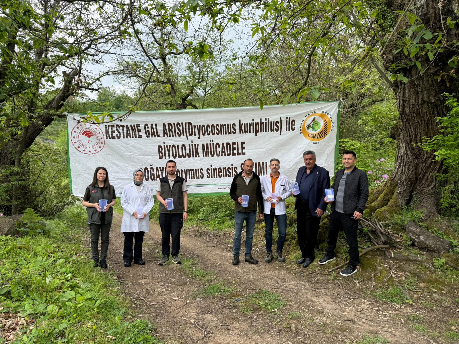 DEVREK’TE KESTANE ORMANLARINDA BİYOLOJİK MÜCADELE ÇALIŞMASI