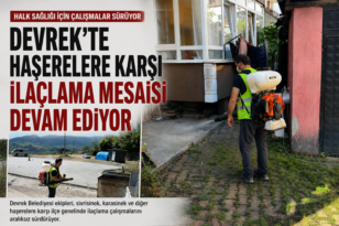 Devrek’te Haşerelere Karşı İlaçlama Mesaisi Devam Ediyor