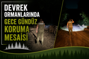 Devrek Ormanlarında Gece Gündüz Koruma Mesaisi
